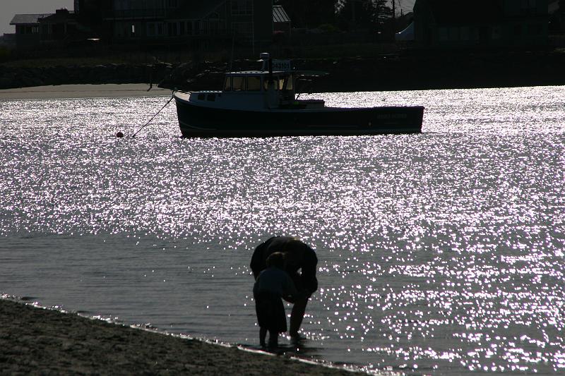 Picture 4216.jpg